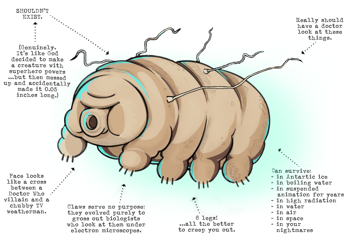 Waterbear illustration